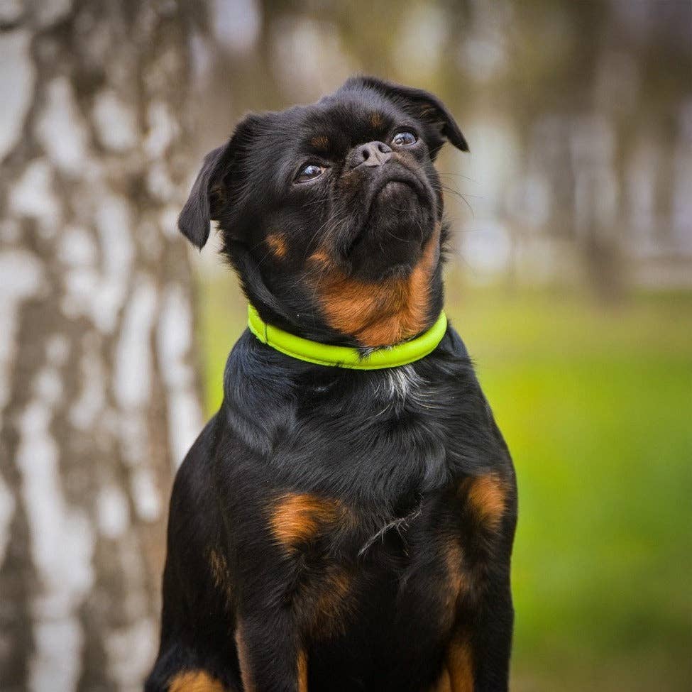 Dogline - Soft Leather Round Collar