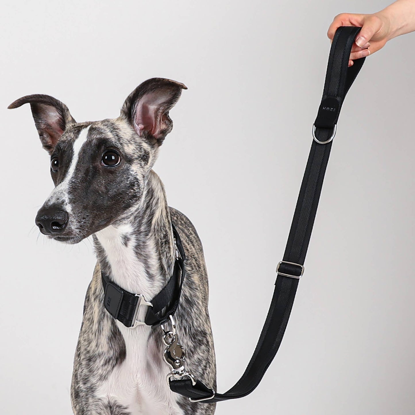 Hozi - Half Leash : Black