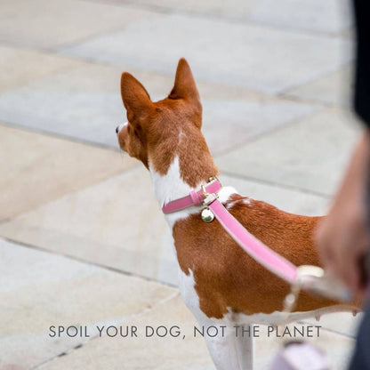Nina Woof - Leash 4ft - Vegan Leather - Rio