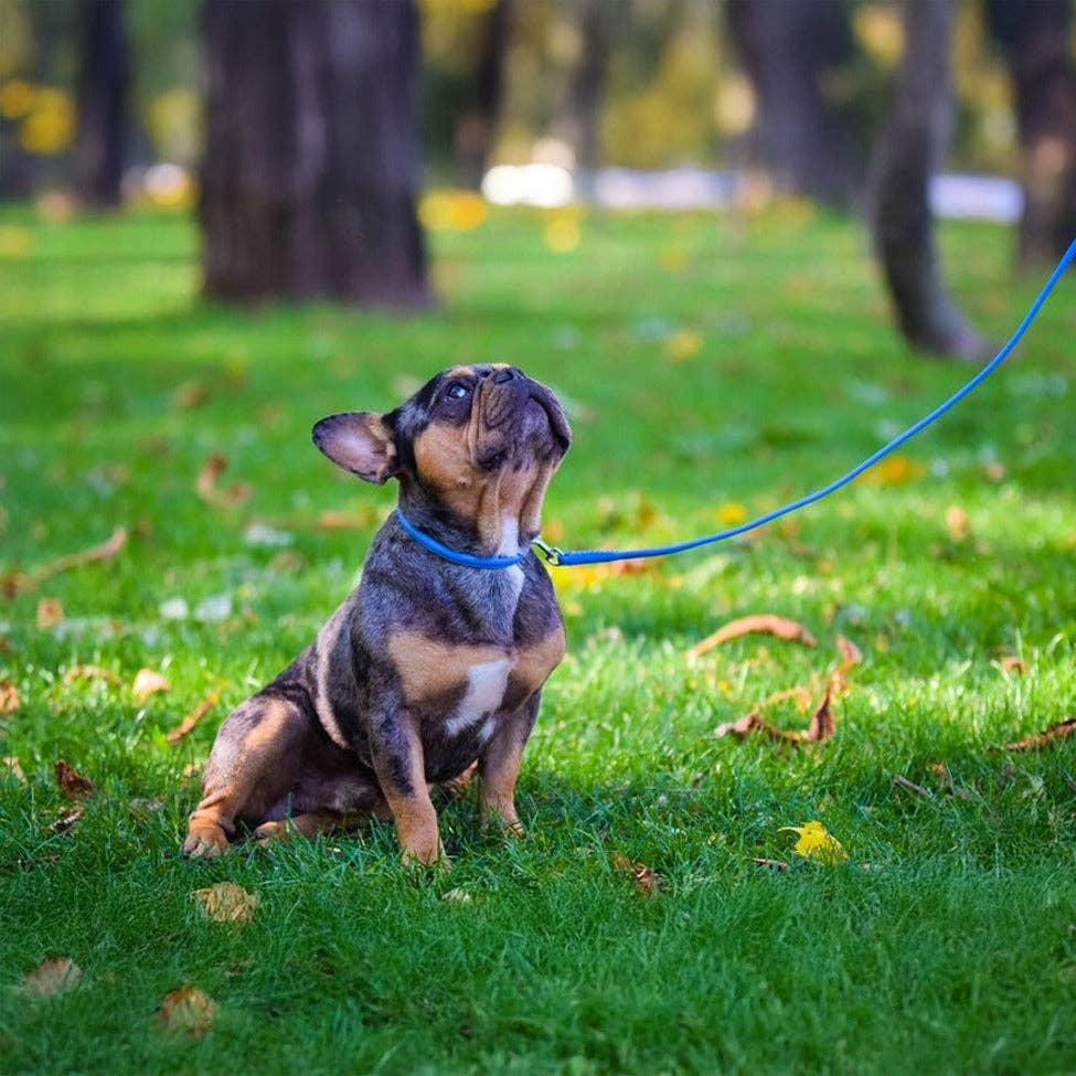 Dogline - Soft Leather Round Collar