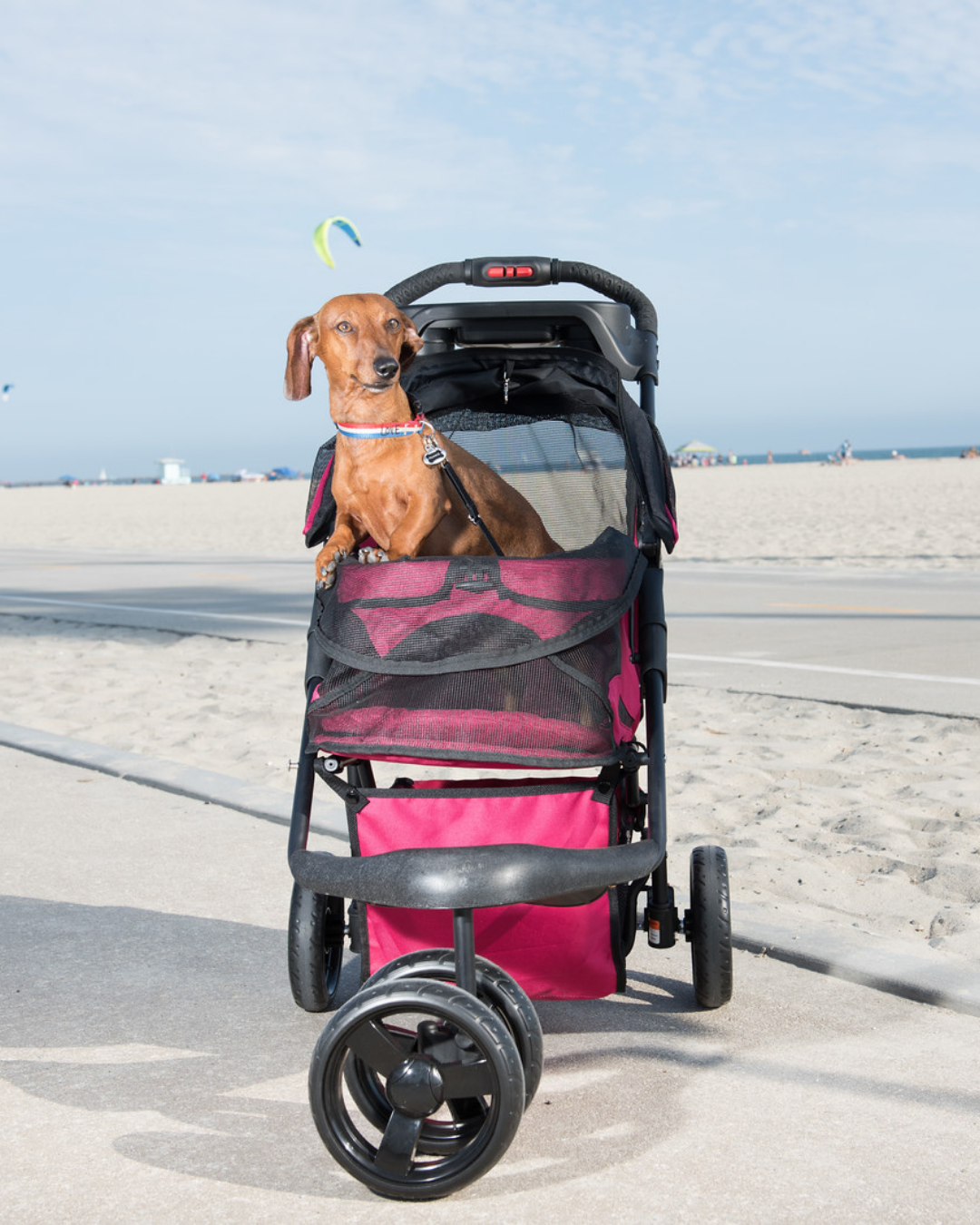Petique - Durable Pet Stroller