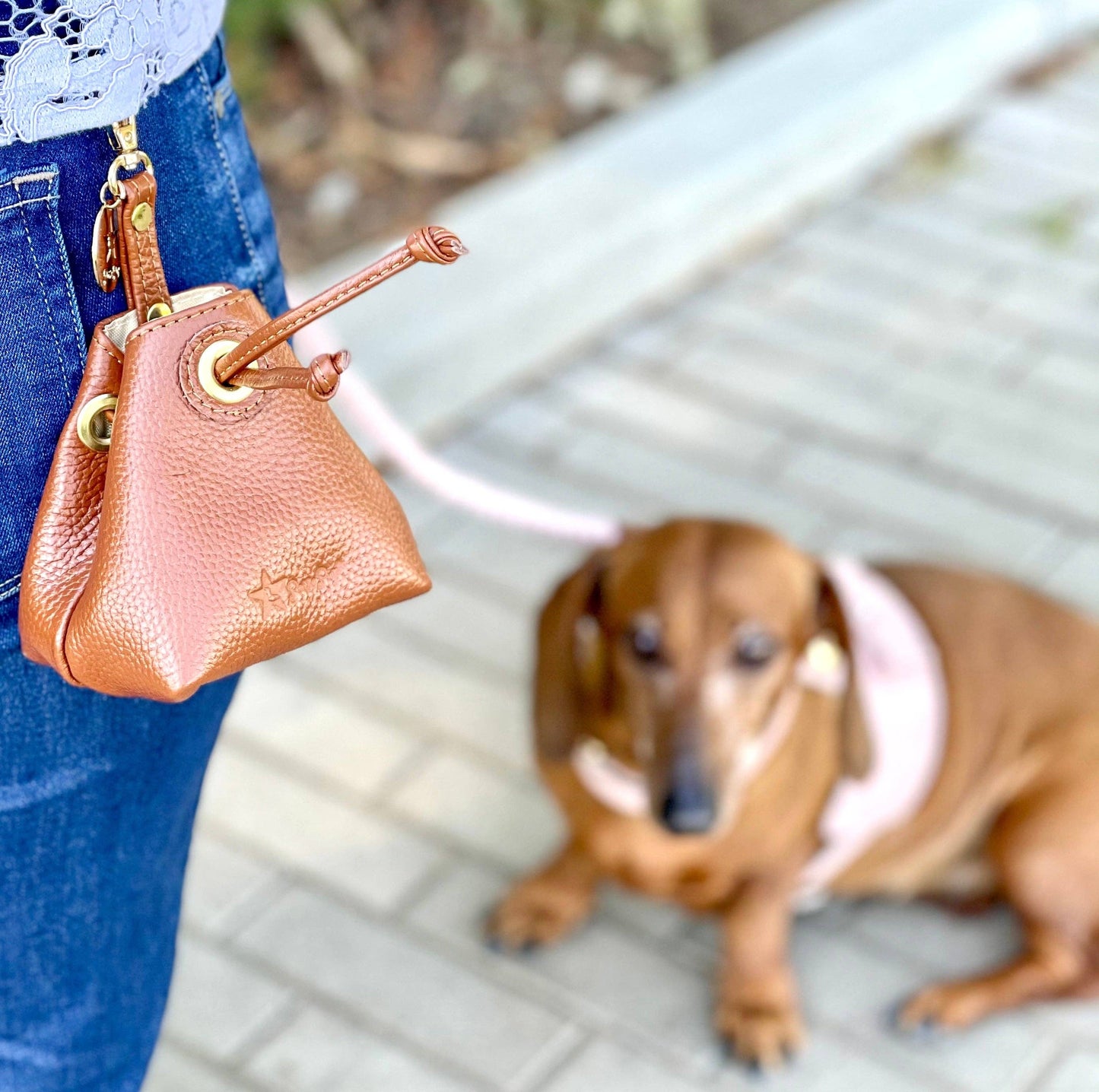 PoisePup - TREAT BAG - BELLA ROSE