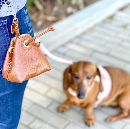 PoisePup - TREAT BAG - BELLA ROSE