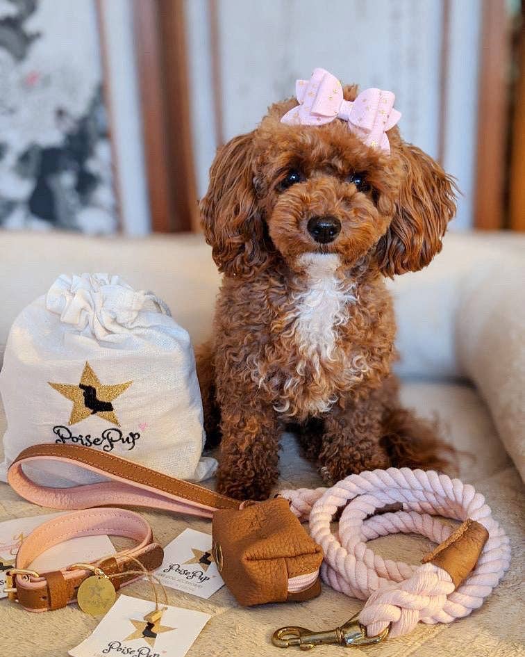 PoisePup - WASTE BAG HOLDER - BELLA ROSE