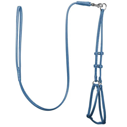 Dogbar Step-in Soft Round Leather Dog Harness  w/Leash