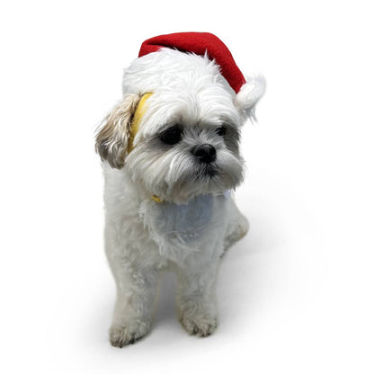 Dogo Pet - Santa Hat