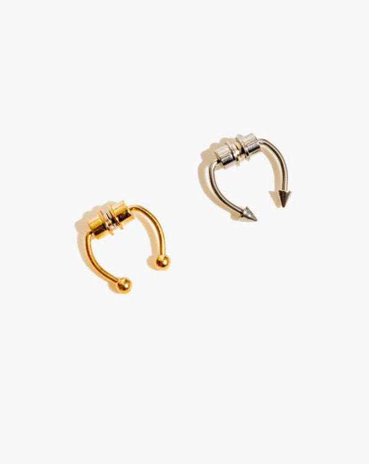 Magnetic Septum Ring
